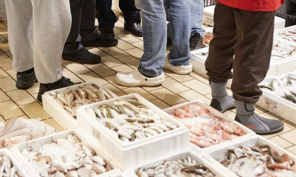 Νέα Μηχανιώνα: Κατασχέθηκαν 60 κιλά ψάρια έπειτα από έλεγχο του Λιμενικού